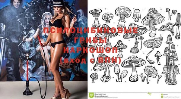 ГАЛЛЮЦИНОГЕННЫЕ ГРИБЫ Армянск