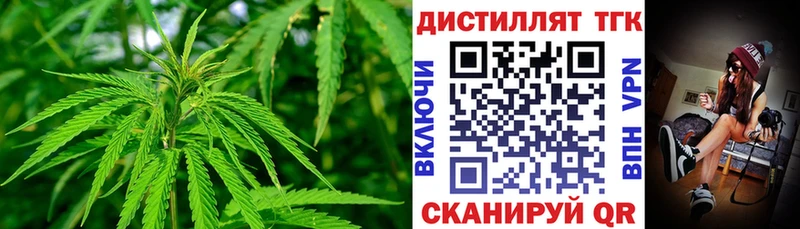 Купить закладки  Бабаево  Дистиллят ТГК THC oil 