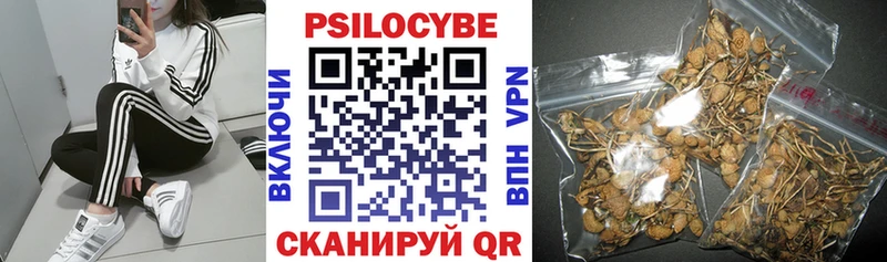 Галлюциногенные грибы Cubensis  Купить  Бабаево 